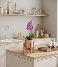 Load image into Gallery viewer, Calm Rose stand:bamboo
