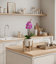 Load image into Gallery viewer, Cotton White stand:bamboo
