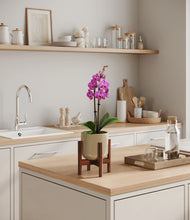 Load image into Gallery viewer, Sage Green stand:walnut

