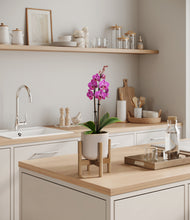 Load image into Gallery viewer, Snowdrift White stand:bamboo
