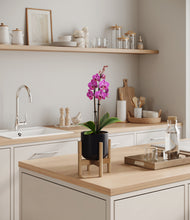 Load image into Gallery viewer, Stone Black stand:bamboo
