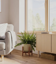 Lade das Bild in den Galerie-Viewer, Olive stand:walnut

