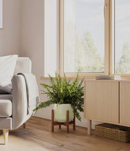 Lade das Bild in den Galerie-Viewer, Turquoise stand:walnut

