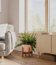 Lade das Bild in den Galerie-Viewer, Calm Rose stand:walnut
