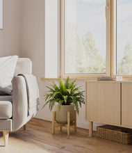 Load image into Gallery viewer, Olive stand:light
