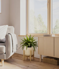 Load image into Gallery viewer, Almond Green stand:light
