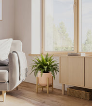Load image into Gallery viewer, Gentle Pink stand:light
