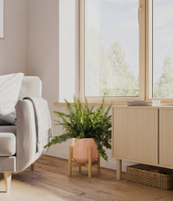 Lade das Bild in den Galerie-Viewer, Calm Rose stand:bamboo

