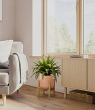 Load image into Gallery viewer, Calm Rose stand:light

