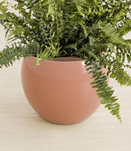 Lade das Bild in den Galerie-Viewer, Calm Rose stand:all
