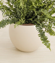 Lade das Bild in den Galerie-Viewer, Shiny EggWhite stand:all
