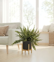 Lade das Bild in den Galerie-Viewer, Black stand:bamboo
