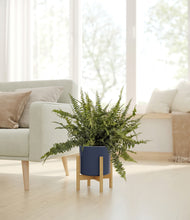 Lade das Bild in den Galerie-Viewer, Deep Navy stand:bamboo
