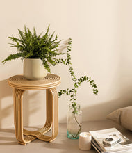 Lade das Bild in den Galerie-Viewer, Almond Green
