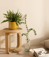 Lade das Bild in den Galerie-Viewer, Mustard
