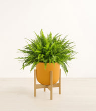 Lade das Bild in den Galerie-Viewer, Sunset Orange stand:light
