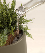 Lade das Bild in den Galerie-Viewer, Olive stand:all
