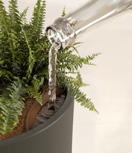 Lade das Bild in den Galerie-Viewer, Dark Olive stand:all
