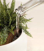 Lade das Bild in den Galerie-Viewer, Shiny EggWhite stand:all
