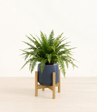 Load image into Gallery viewer, Deep Navy stand:light
