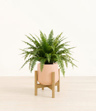 Load image into Gallery viewer, Gentle Pink stand:light
