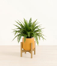 Load image into Gallery viewer, Mustard stand:light
