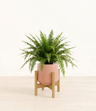 Load image into Gallery viewer, Calm Rose stand:light
