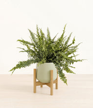 Lade das Bild in den Galerie-Viewer, Turquoise stand:bamboo
