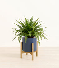 Load image into Gallery viewer, Deep Navy stand:light
