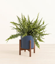 Lade das Bild in den Galerie-Viewer, Deep Navy stand:walnut

