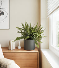 Lade das Bild in den Galerie-Viewer, Dark Olive
