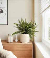 Lade das Bild in den Galerie-Viewer, Cream
