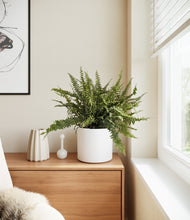 Lade das Bild in den Galerie-Viewer, White
