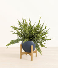 Lade das Bild in den Galerie-Viewer, Deep Navy stand:bamboo
