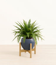 Load image into Gallery viewer, Deep Navy stand:light
