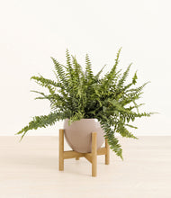 Lade das Bild in den Galerie-Viewer, Desert Brown stand:bamboo

