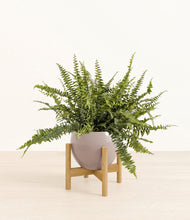 Lade das Bild in den Galerie-Viewer, Winter Clouds stand:bamboo
