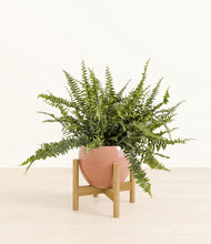 Lade das Bild in den Galerie-Viewer, Calm Rose stand:bamboo
