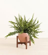 Lade das Bild in den Galerie-Viewer, Calm Rose stand:walnut
