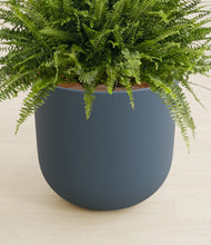 Load image into Gallery viewer, Iron Gray stand:all

