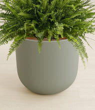 Lade das Bild in den Galerie-Viewer, Sage Green stand:all
