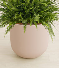 Load image into Gallery viewer, Sandy Pink stand:all
