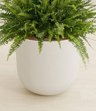Lade das Bild in den Galerie-Viewer, Natural Bamboo stand:all
