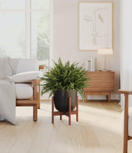 Load image into Gallery viewer, Stone Black stand:walnut

