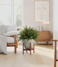 Load image into Gallery viewer, Sage Green stand:walnut
