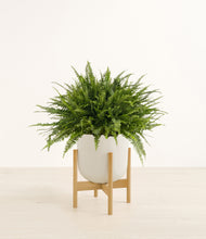 Load image into Gallery viewer, Natural Bamboo stand:bamboo
