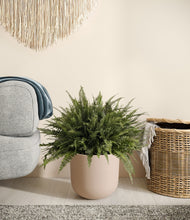 Load image into Gallery viewer, Sandy Pink stand:all
