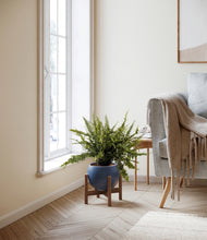 Lade das Bild in den Galerie-Viewer, Deep Navy stand:walnut
