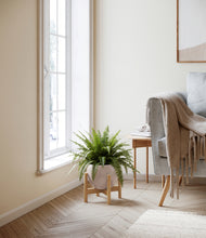 Load image into Gallery viewer, Desert Brown stand:light
