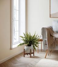 Lade das Bild in den Galerie-Viewer, Deep Ocean stand:walnut
